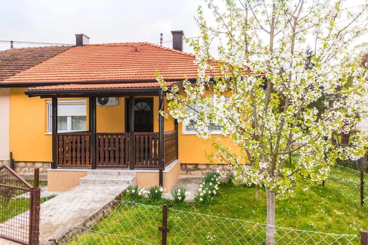 פרוצ'ץ Apartman Olga מראה חיצוני תמונה