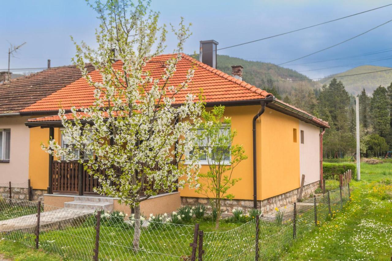 פרוצ'ץ Apartman Olga מראה חיצוני תמונה