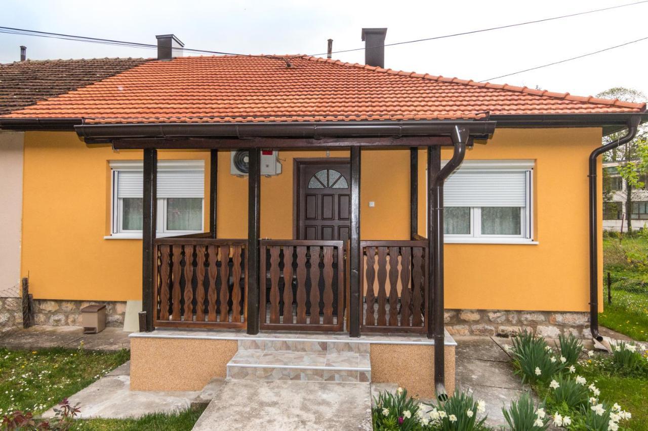 פרוצ'ץ Apartman Olga מראה חיצוני תמונה